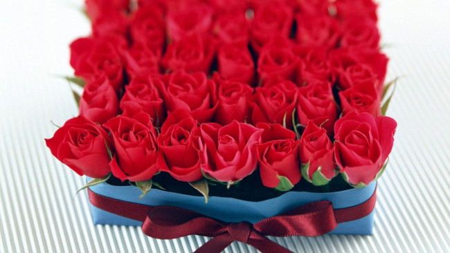 Обои картинки фото цветы, розы, коробка, красные