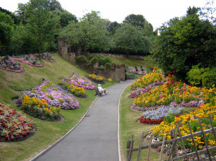 Картинка природа парк дорожка клумбы скамейки цветы