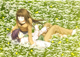 Картинка аниме hiiro no kakera парень девушка цветы поле