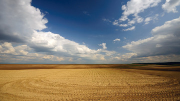 Картинка природа поля поле облака