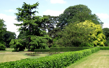 Картинка природа парк деревья кусты лужайки клумбы