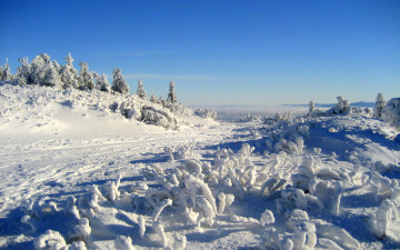Картинка природа зима снег деревья дорога