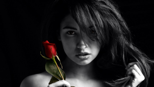 Обои картинки фото Jackie Martinez, девушки, настроение, роза