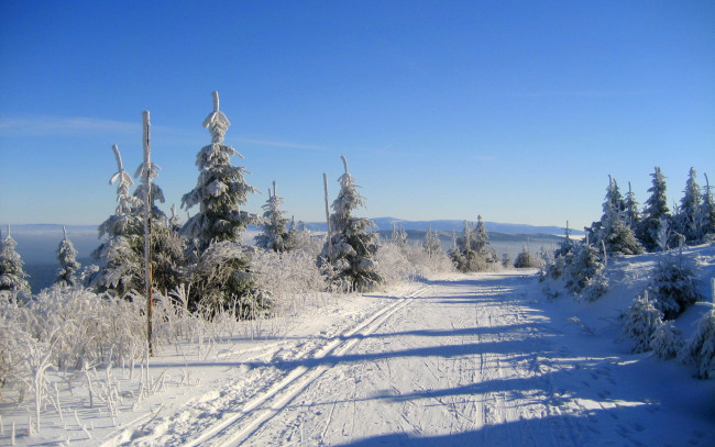Обои картинки фото природа, зима, снег, дорога, ели, кусты