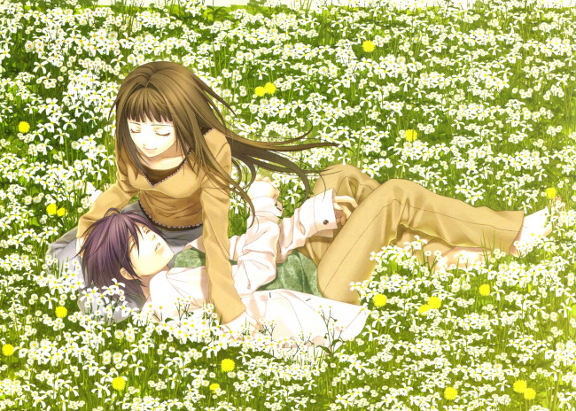 Обои картинки фото аниме, hiiro, no, kakera, парень, девушка, цветы, поле