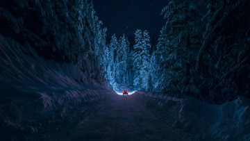 Картинка природа дороги ночь елки