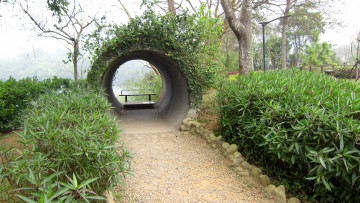 Картинка природа парк арка дорожка кусты