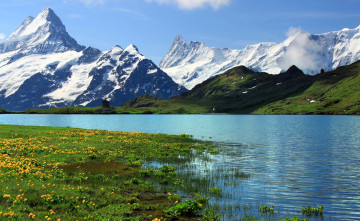 Картинка швейцария берн гриндельвальд природа реки озера озеро горы