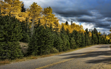 Картинка природа дороги лес шоссе разметка тучи