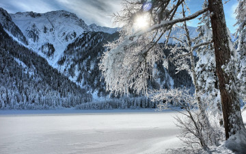Картинка природа зима деревья горы снег
