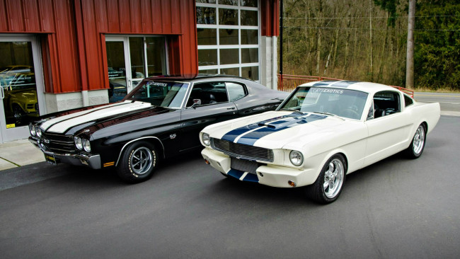Обои картинки фото автомобили, разные, вместе, ford, 1970, chevrolet, chevelle, ss, 454, 1965, gt350, mustang