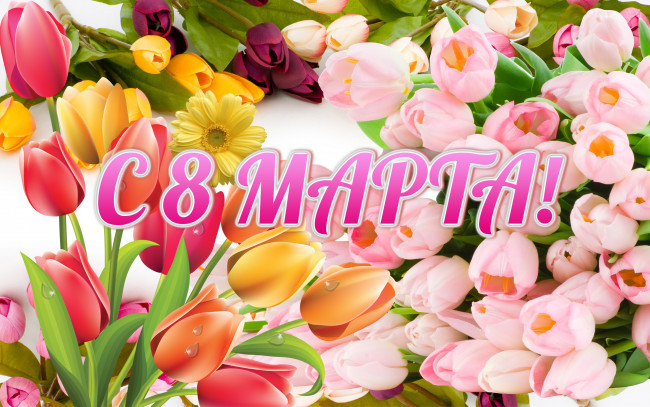 Обои картинки фото праздничные, международный, женский, день, тюльпаны, 8, марта