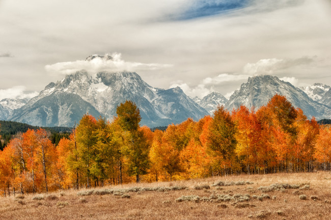 Обои картинки фото природа, горы, лес, деревья, вершины, осень, облака