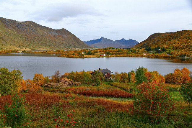 Обои картинки фото норвегия, лофотенские, острова, фьорд, steirapollen, природа, реки, озера, пейзаж