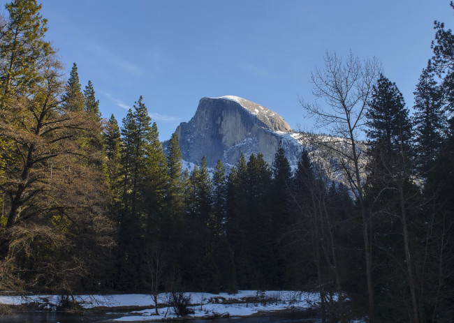 Обои картинки фото yosemite, national, park, природа, горы, лес