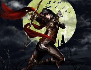 Картинка thief видео+игры летучие мыши девушка стрела луна ночь лук капюшон костюм арт