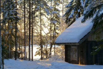 Картинка природа зима лес снег избушка