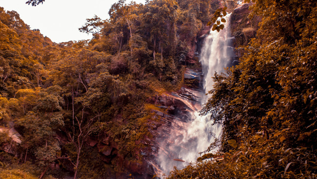 Обои картинки фото природа, водопады, джунгли, скалы, обрыв, водопад