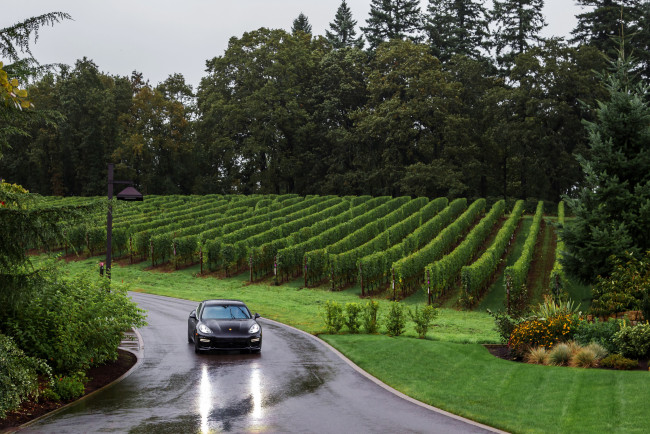 Обои картинки фото 2014 porsche panamera turbo executive, автомобили, porsche, виноградники, дорога, panamera