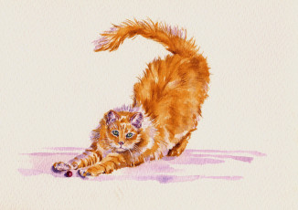 Картинка рисованное животные +коты кот потягивается акварель кошка