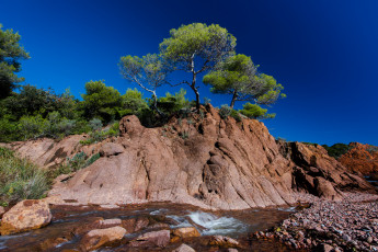 Картинка природа реки озера деревья ручей скалы
