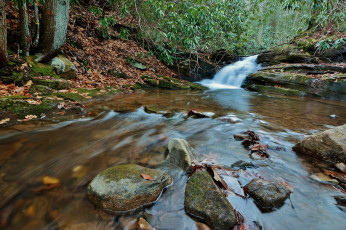 Картинка природа водопады autumn waterfall осень листья вода поток leaves water stream водопад