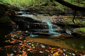 Картинка природа водопады stream rocks река поток водопад камни waterfall вода river water