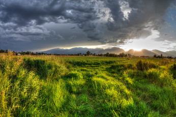 Картинка природа восходы закаты поле облака трава