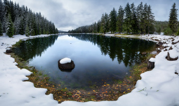 Картинка природа реки озера лес ели озеро спокойствие зима снег