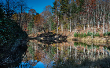 Картинка природа реки озера река лес осень