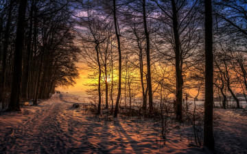 Картинка природа восходы закаты прогулка закат люди деревья вечер снег зима лес