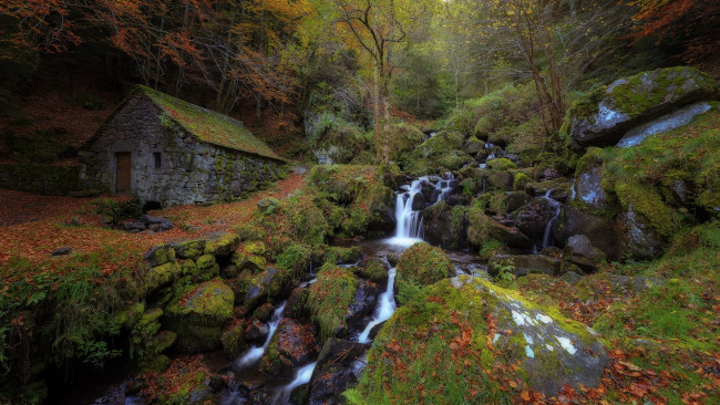 Обои картинки фото природа, лес, поток, ручей, осень, хижина