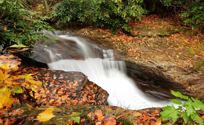Обои картинки фото природа, водопады, водопад, stream, waterfall, осень, листья, вода, поток, autumn, leaves, water