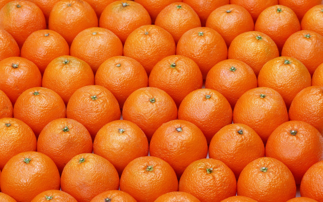 Обои картинки фото еда, цитрусы, много, апельсины