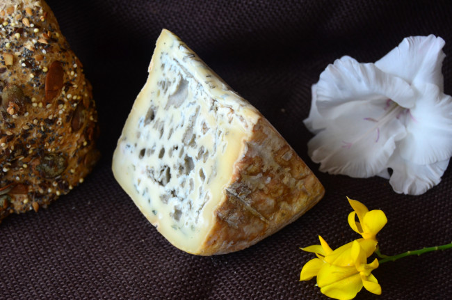 Обои картинки фото blau de b&, 250, fala montbru, еда, сырные изделия, сыр