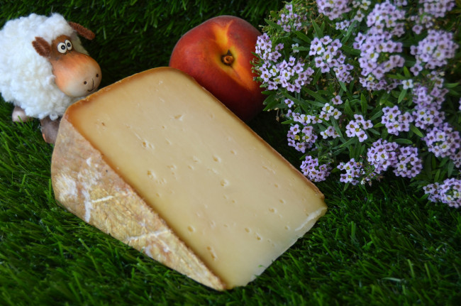 Обои картинки фото mazeris brebis, еда, сырные изделия, сыр