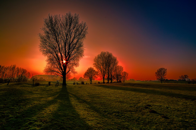 Обои картинки фото природа, восходы, закаты, солнце, деревья, поле