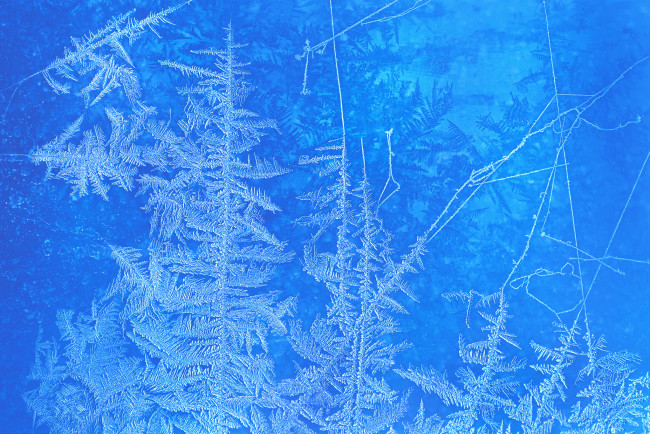 Обои картинки фото природа, макро, узор, лёд, иней