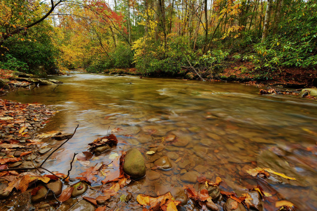 Обои картинки фото природа, радуга, autumn, leaves, water, stream, waterfall, осень, листья, вода, поток