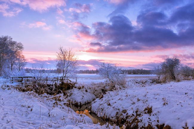 Обои картинки фото природа, зима, поле, снег, деревня, рассвет, утро, деревья, речка, мост