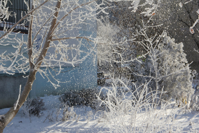 Обои картинки фото природа, зима, ветки, деревья, снег, снежинки