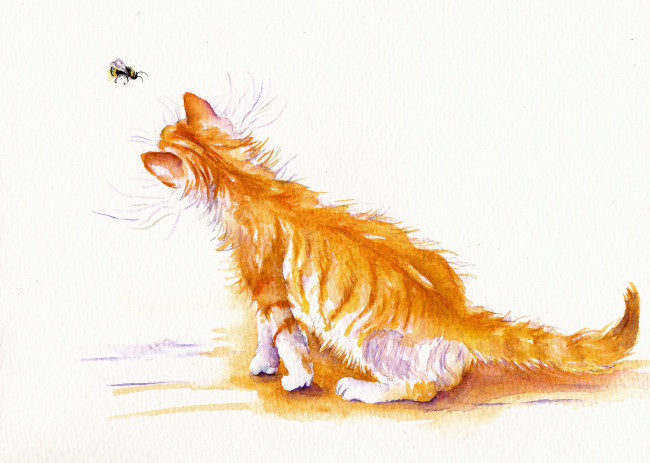 Обои картинки фото рисованное, животные,  коты, кот, акварель, пчёлка, кошка