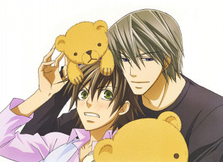 Картинка аниме junjou+romantica акихико мисаки