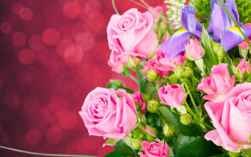 Картинка цветы букеты +композиции розы фон ирисы бутоны букет