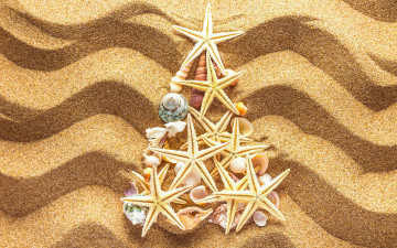 Картинка разное ракушки +кораллы +декоративные+и+spa-камни елка украшения песок новый год tree beach sand seashells christmas