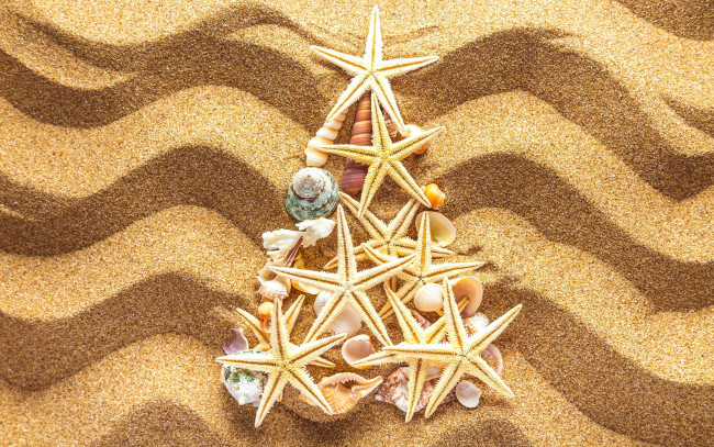 Обои картинки фото разное, ракушки,  кораллы,  декоративные и spa-камни, елка, украшения, песок, новый, год, tree, beach, sand, seashells, christmas