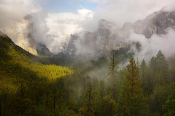 обоя природа, горы, леса, туман