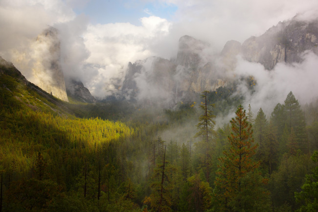 Обои картинки фото природа, горы, леса, туман