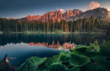 Картинка природа реки озера лес листья горы озеро отражение скалы