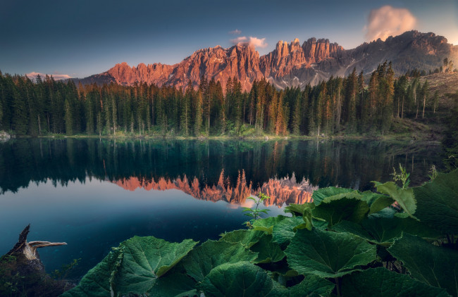 Обои картинки фото природа, реки, озера, лес, листья, горы, озеро, отражение, скалы